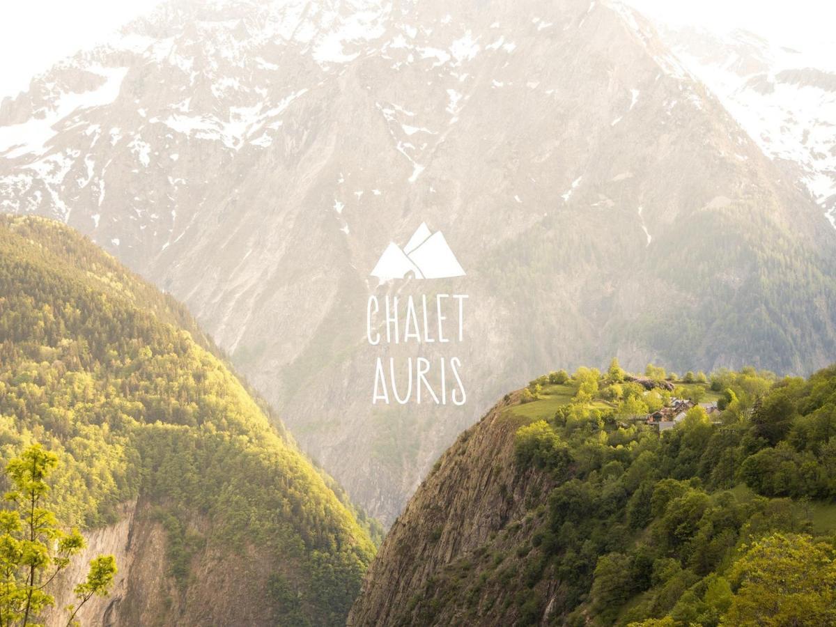Chalet D'Hotes Auris住宿加早餐旅馆 外观 照片